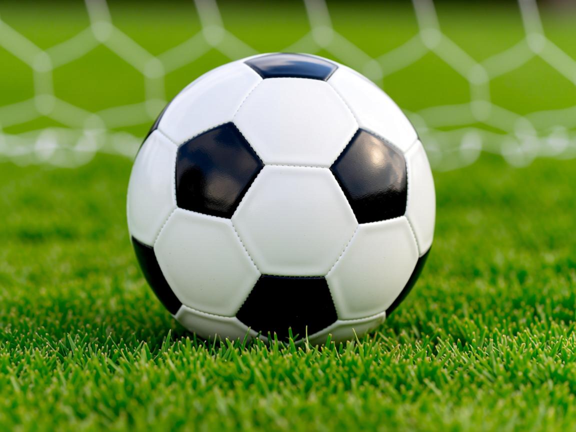 九游官网入口充值-体育新闻中心上线体育创作者内容质量审核平台,体育新闻的网站 第3张