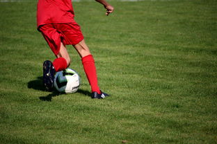 九游体育-基层足球赛事体系未形成闭环，足球联赛实施方案  第2张